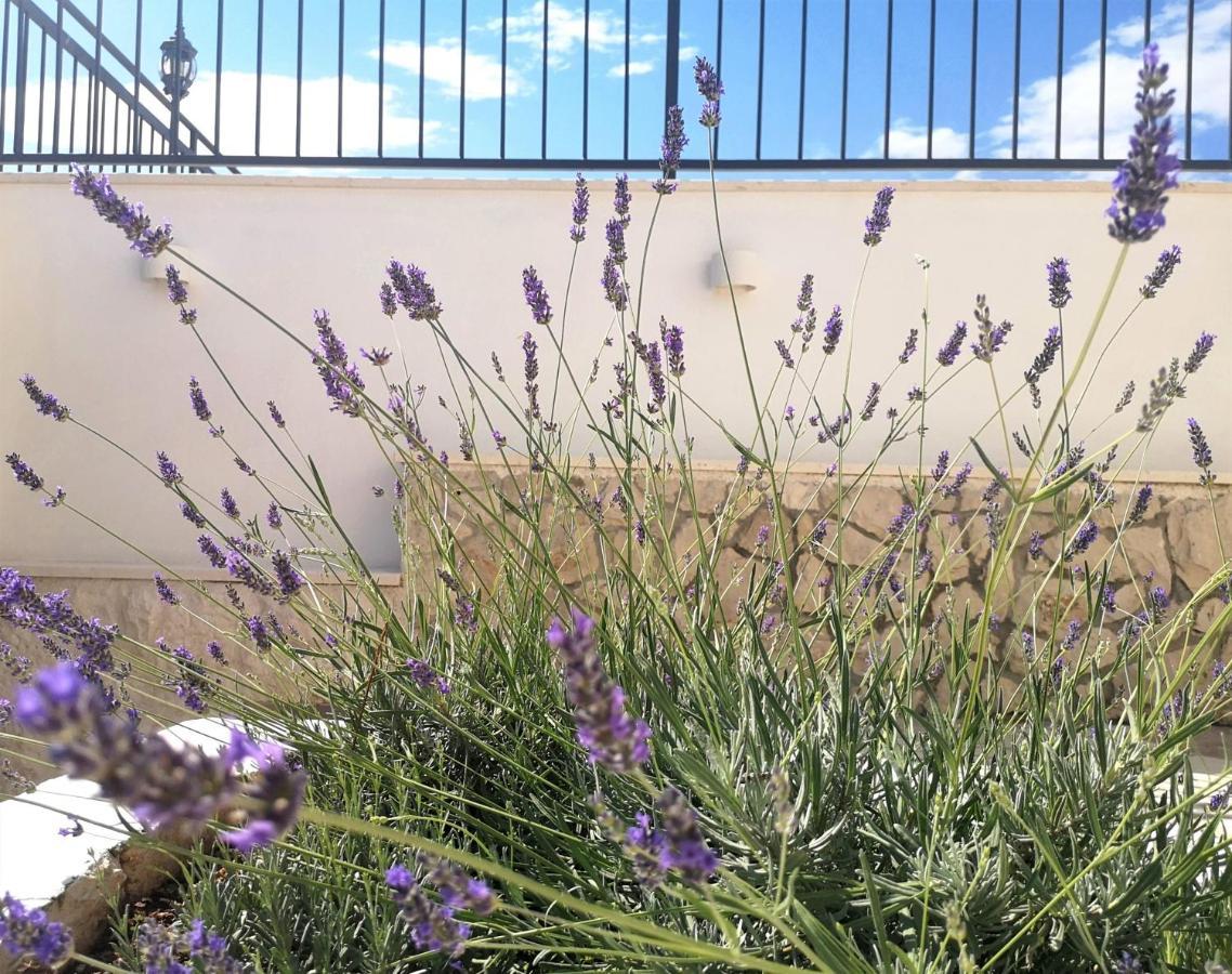 Villa Mendula Trogir - Luxury Villa By The Beach - Heated Pool - Organic Garden Buitenkant foto