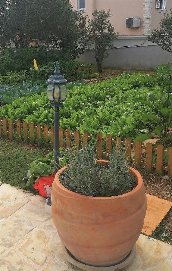 Villa Mendula Trogir - Luxury Villa By The Beach - Heated Pool - Organic Garden Buitenkant foto